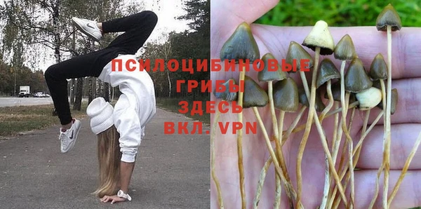 амфетамин Алексеевка