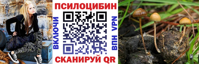 Псилоцибиновые грибы Magic Shrooms  МЕГА зеркало  Димитровград 